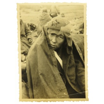 Année 1941. Prisonnier de guerre soviétique en Budyonovka (casque de tissu). Espenlaub militaria